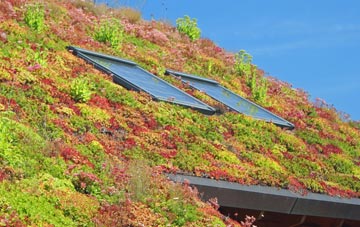 Sapcote living roof systems