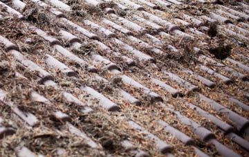 Sapcote roof cleaning companies